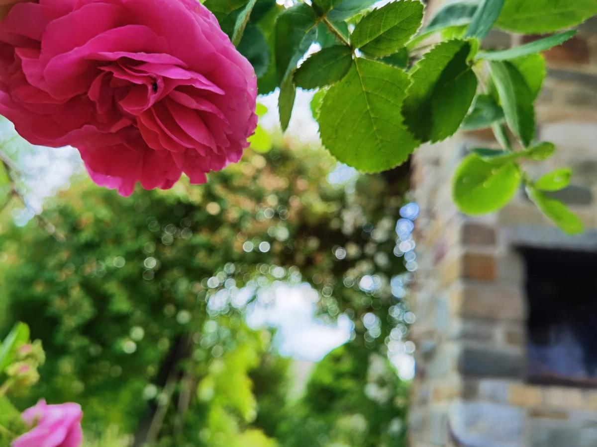 Ferienhaus Eifelrose Simmerath Exteriör bild