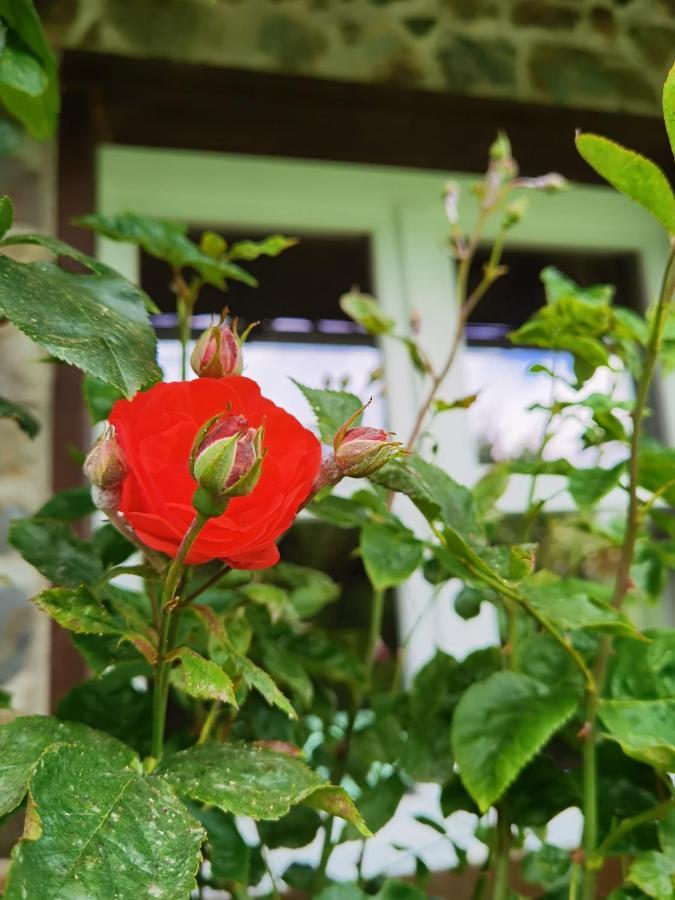 Ferienhaus Eifelrose Simmerath Exteriör bild
