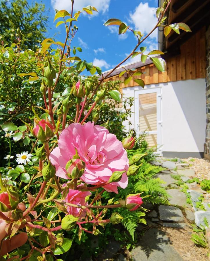 Ferienhaus Eifelrose Simmerath Exteriör bild