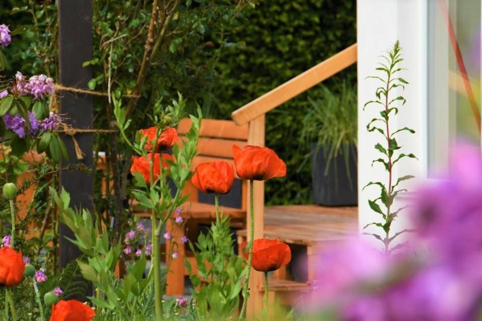 Ferienhaus Eifelrose Simmerath Exteriör bild