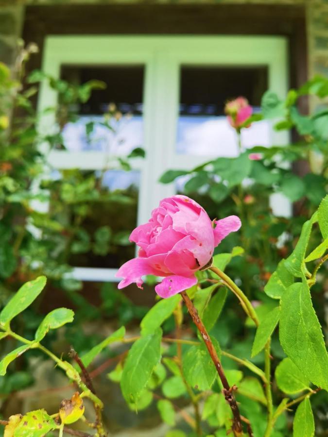 Ferienhaus Eifelrose Simmerath Exteriör bild
